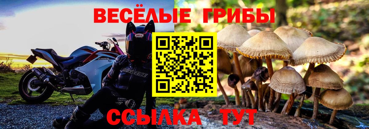 Псилоцибиновые грибы Magic Shrooms  Вход с VPN  Дивногорск 