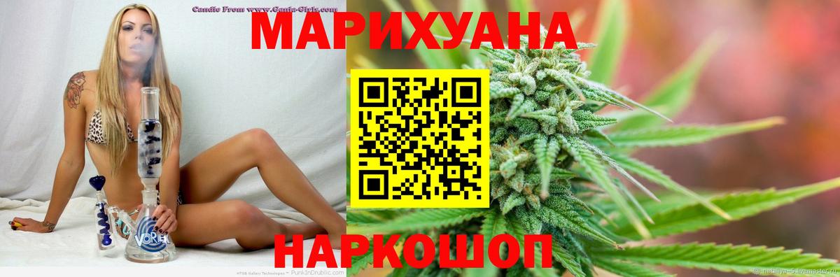 Бошки марихуана сатива Дивногорск
